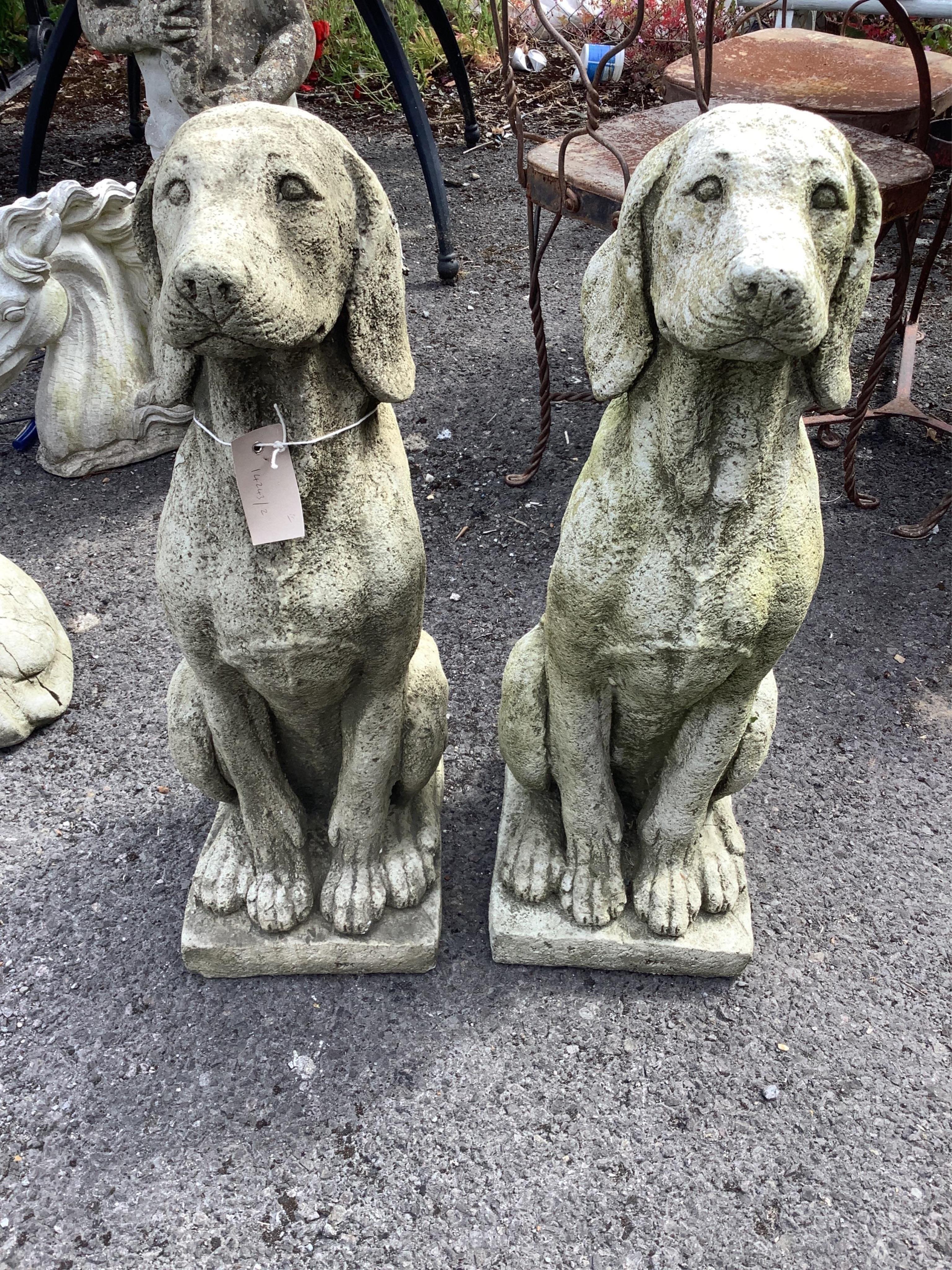 A pair of reconstituted stone seated hound garden ornaments, height 68cm. Condition - good